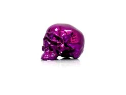 Skull Purple Chrome By NooN SIGNED