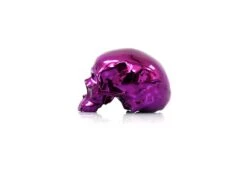 Skull Purple Chrome By NooN SIGNED -Artistes Promos Magasin 2746