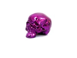 Skull Purple Chrome By NooN SIGNED -Artistes Promos Magasin 2747