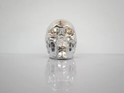 Skull Chrome By NooN SIGNED -Artistes Promos Magasin 3086