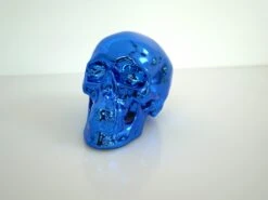 Skull Blue Chrome Porcelain By NooN SIGNED -Artistes Promos Magasin 3103