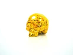 Skull Gold Chrome By NooN SIGNED -Artistes Promos Magasin 3164