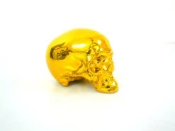 Skull Gold Chrome By NooN SIGNED -Artistes Promos Magasin 3166