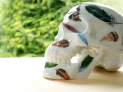 Skull Feathers By NooN