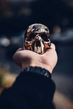 Sculpture SKULL SPIRIT Edition By Richard Orlinski -Artistes Promos Magasin 5709