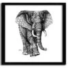 Affiche ORNATE ELEPHANT 2 BY BIOWORKZ