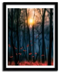 Affiche RED FEATHER DANCE By VIVIANA GONZALEZ