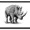 Affiche RHINOCEROS BY BIOWORKZ