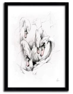 Affiche SWANS Par ALEXIS MARCOU