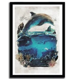 Affiche Ecco The Dolphin Par Barrett Biggers