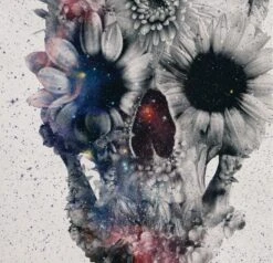 Affiche Floral Skull 3 By Ali Gulec