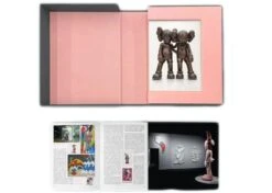 Book KAWS :ALONG THE WAY Monograph 2020 -Artistes Promos Magasin Book KAWS ALONG THE WAY Monograph 2020 ArtAndToys 5449
