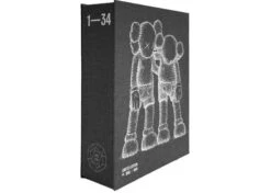 Book KAWS :ALONG THE WAY Monograph 2020