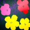 Flowers 11.65 Art Print By Andy Warhol