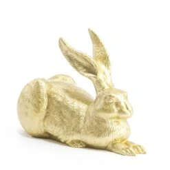 Le Lièvre De Dürer De Ottmar Hor