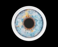 Print ARAGONITE S. By MARC QUINN