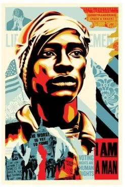 Print VOTING RIGHTS ARE HUMAN RIGHTS By SHEPARD FAIREY Alias OBEY