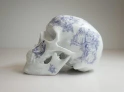 SKULL TJ BLUE BY NooN
