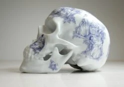 SKULL TJ BLUE BY NooN -Artistes Promos Magasin SKULL TJ BLUE BY NooN ArtAndToys 6128