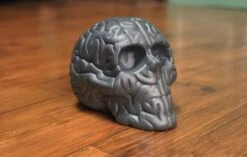 Skull Brain 'BLACK' By Emilio Garcia