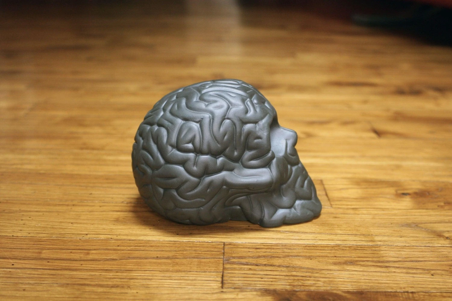Skull Brain 'BLACK' By Emilio Garcia 2 Skull Brain 'BLACK' By Emilio Garcia – Image 2