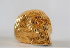 Skull Brain 'GOLD' By Emilio Garcia