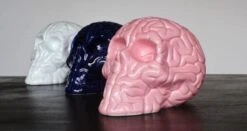 Skull Brain 'PINK' By Emilio Garcia -Artistes Promos Magasin Skull Brain PINK by Emilio Garcia ArtAndToys 4117