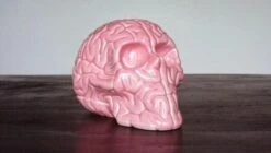 Skull Brain 'PINK' By Emilio Garcia
