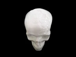 Skull Fish Koiby NooN ( Engraving Serie) -Artistes Promos Magasin Skull Fish Koi by NooN Engraving Serie ArtAndToys 8648