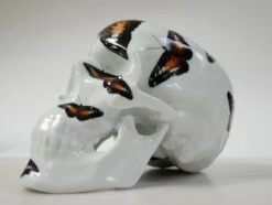 Skull Orange Butterfly By NooN